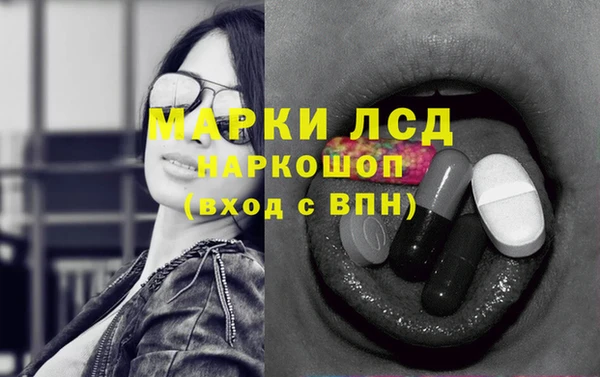 МДПВ Каменка